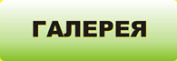 Галерея